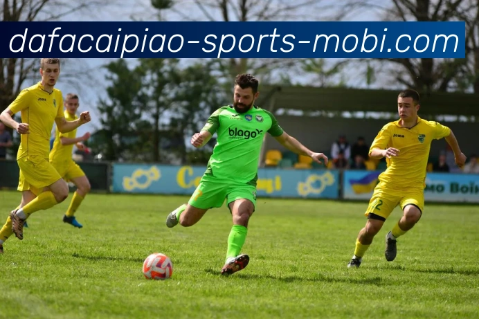 大发彩票服务体系